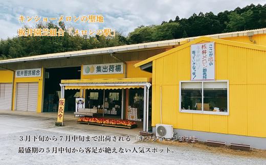 熊本県 菊池市産 キンショーメロン 4kg(6～9玉) 【2024年4月上旬～7月上旬発送予定】メロン ノーネット