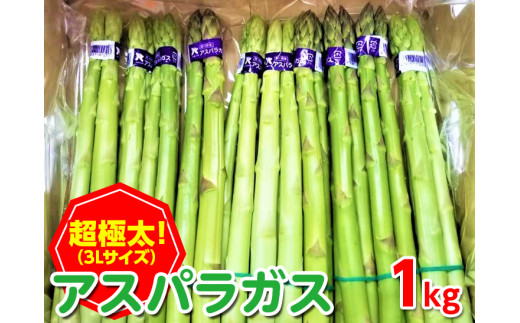 ＜先行予約！2027年3月上旬以降順次発送予定＞＜極太＞アスパラガス(約1kg/3Lサイズ) 【man095】【Aglio nero】