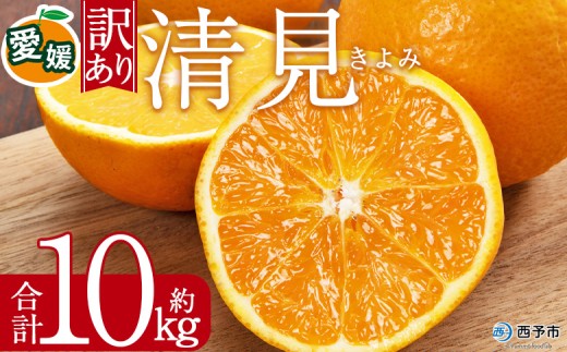 ＜訳あり 清見 (サイズ混合) 約10kg＞ 愛媛 蜜柑 ミカン みかん 果物 フルーツ 柑橘 国産 きよみ 訳アリ ご家庭用 愛媛県産 西予市産 西宇和 特産品 丸二青果 愛媛県 西予市【常温】『2026年3月中旬から順次出荷予定』