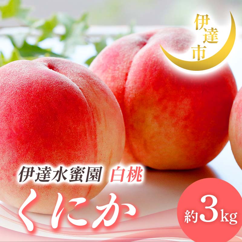 【ふるさと納税】【2026年出荷分先行予約】福島県産 くにか 約3kg (9～16玉) 有限会社伊達水蜜園 白桃 大玉 伊達の桃 桃 フルーツ 果物 もも モモ momo F21C-015