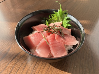 a20-327　天然ミナミマグロ 訳あり 中トロ(サク) 約800ｇ入り