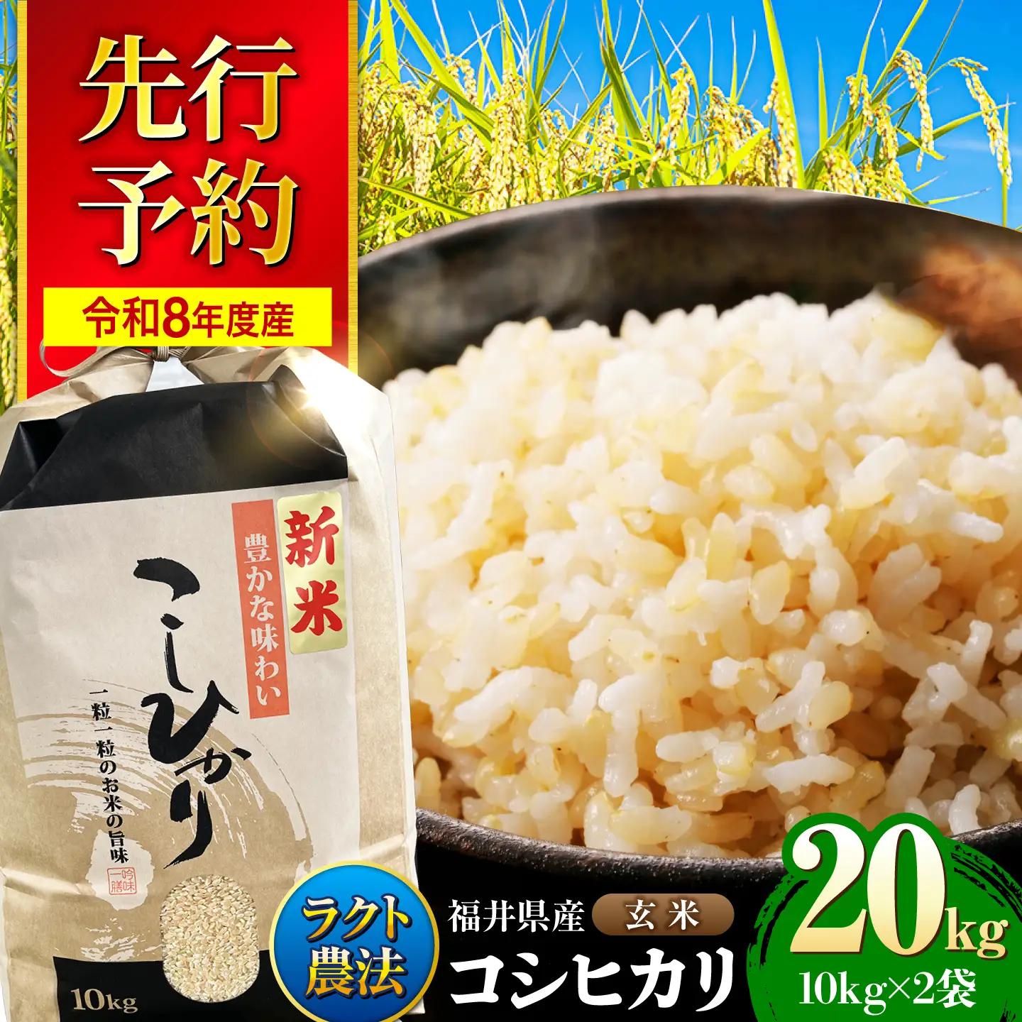 【令和8年産 新米】 【 先行予約 /9月中旬から発送】　福井県産 ラクト農法 コシヒカリ 玄米 10kg×2 （20kg）/ 米 お米 精米 国産米 /  小浜市 / 北川博司 [BFDG007]