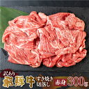 【ふるさと納税】 訳あり 飛騨牛 すき焼き用 切落し 300g 切り落とし すき焼き 赤身 肉 牛肉 お肉 和牛 冷凍 岐阜県 部位お任せ 形 不揃い 国産 ブランド牛 10000円 [S542]