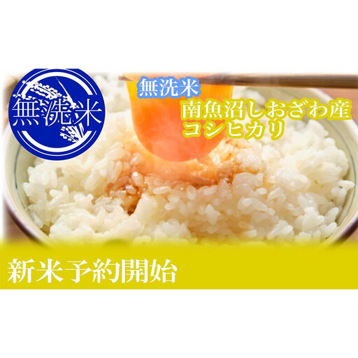 【令和8年産　新米予約】定期便６ヶ月：無洗米2kg●南魚沼しおざわ産コシヒカリ【2026年10月上旬から1ヶ月以内に順次発送予定】