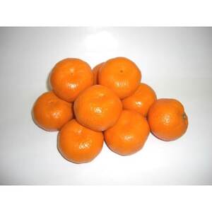 温州みかん【家庭用】約3kg【B76-15】【1539504】