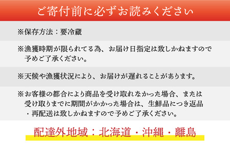 【先行予約】越前港より直送！ 越前がに 大 (約1kg～1.2kg) 2杯※発送前に在宅確認の電話連絡をいたします!【11月～12月発送予定】
