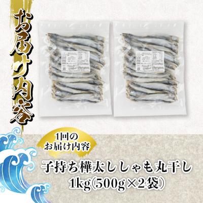 ふるさと納税 佐伯市 【定期便・全4回】3ヵ月に1回お届け!子持ち樺太ししゃも丸干し |  | 01