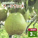 【ふるさと納税】 西洋梨 （ ラ・フランス ）3kg ご家庭用 L～4L サイズ 12～9玉 不揃い 果物 フルーツ 洋梨 お取り寄せ 産地直送 送料無料 秋 旬 山形県 上山市 0089-2401