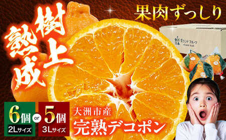 デコポン（完熟）5-6個 デコポン 不知火【3月下旬から順次発送】[AGBA008]