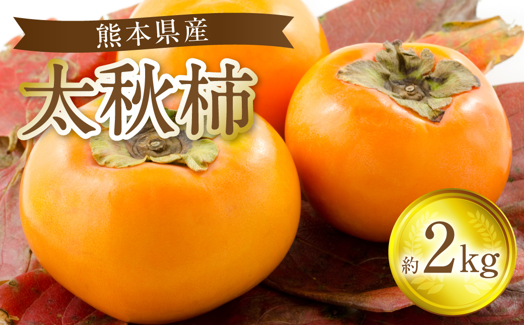 【先行予約】太秋柿 約2kg 果物 くだもの フルーツ 旬 【2025年10月上旬より順次発送】