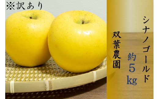 265 ※訳あり りんご シナノゴールド ５㎏ 【双葉農園】