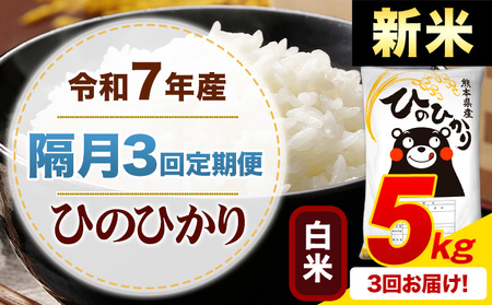 【隔月3回定期便】新米 令和7年産 白米 ひのひかり 定期便 5kg《申込月の翌月から出荷開始》熊本県産 ふるさと納税 精米 ひの 米 こめ ふるさとのうぜい ヒノヒカリ コメ お米