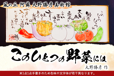 大野勝彦 短冊額『このひとつの野菜には』野菜 風の丘阿蘇大野勝彦美術館《60日以内に出荷予定(土日祝除く)》美術館 詩
