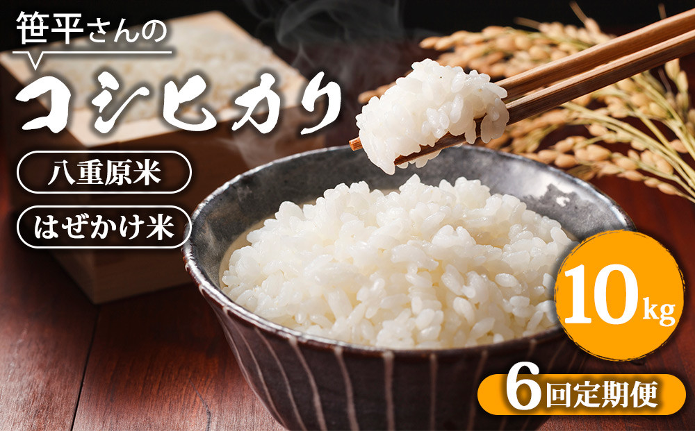 
            【定期便】【令和6年産】八重原産コシヒカリ 白米【10kg×全6回 合計60kg】｜笹平さんのお米 八重原米 はざかけ はぜかけ
          