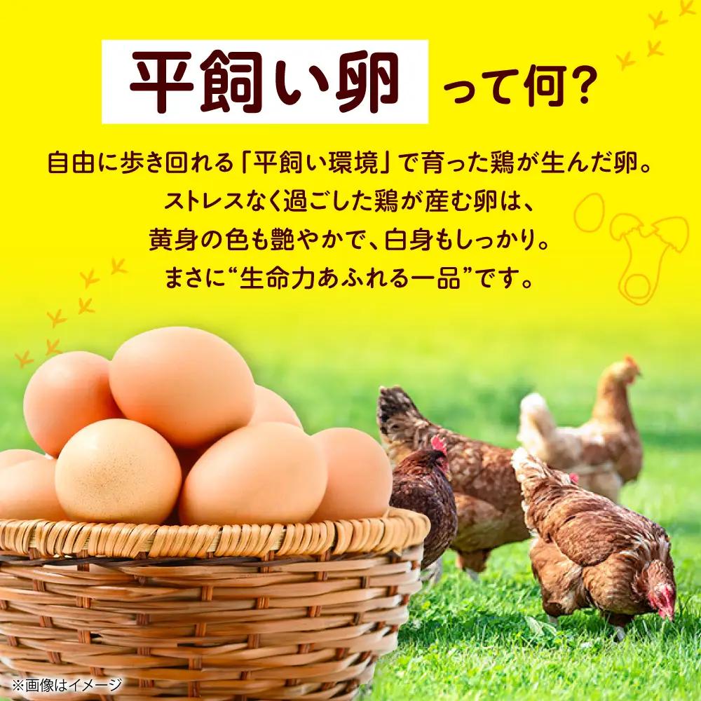 平飼い卵 24個 ベジ彩ファーム[AOEJ003] たまご