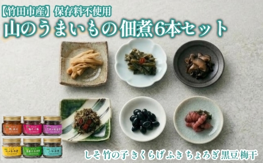 【竹田産】山のうまいもの 佃煮 6本セット 保存料不使用 しそ 竹の子 きくらげ ふき ちょろぎ