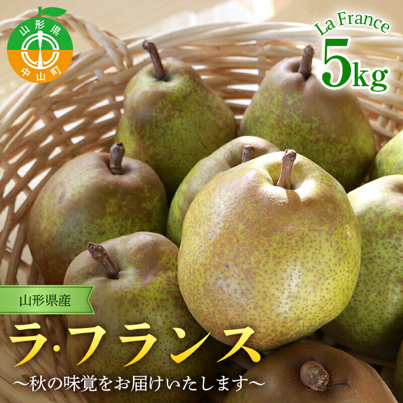【ふるさと納税】≪先行予約≫ 山形県産ラ・フランス 特秀5kg（13～18玉）11月上旬から発送開始 果物 くだもの フルーツ ラフランス 洋梨 西洋梨 洋ナシ洋なし 秋果実 F4A-0253