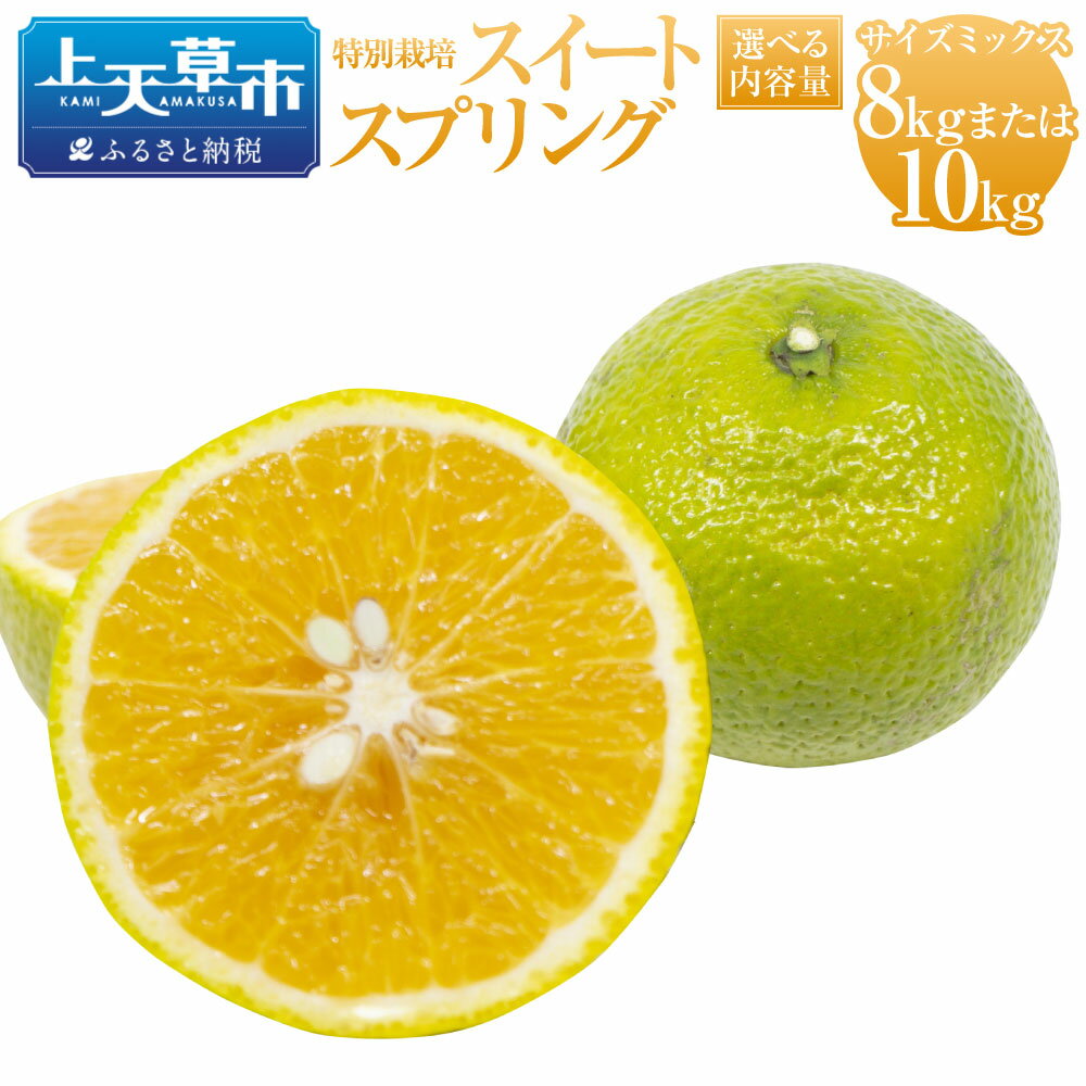 【ふるさと納税】【選べる容量】【先行受付】特別栽培スイートスプリング 8kg または 10kg サイズミックス スイートスプリング 国産 上天草市産 熊本県産 果物 フルーツ 蜜柑 柑橘 送料無料 【2025年12月下旬から2026年2月上旬発送予定】
