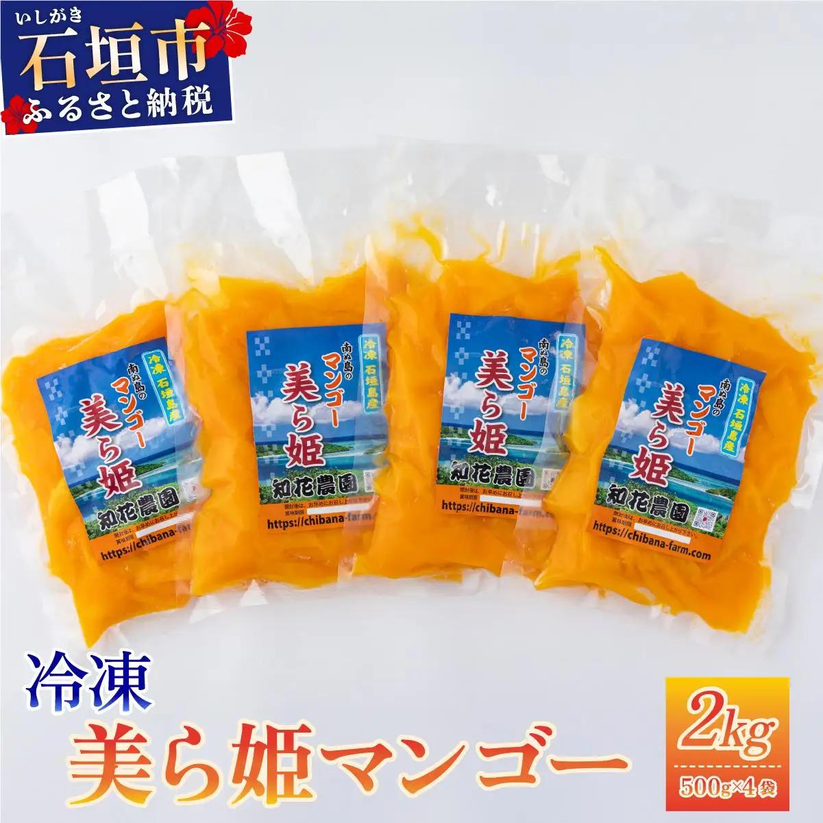冷凍美ら姫マンゴー 2kg（500g×4袋）CB-4