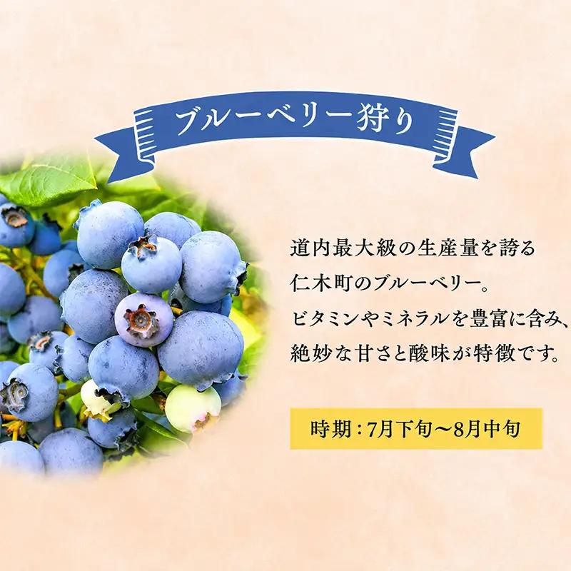 妹尾観光農園 フルーツ狩りチケット1000円 割引 チケット クーポン 利用券 フルーツ 旅行 体験 農園 北海道 仁木町 [フルーツショップ妹尾観光農園]