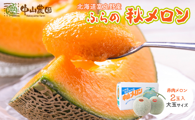 テレビで紹介されました！【2026年秋発送】北海道 富良野産 赤肉 秋メロン 2玉 計3.2kg以上 大玉サイズ メロン