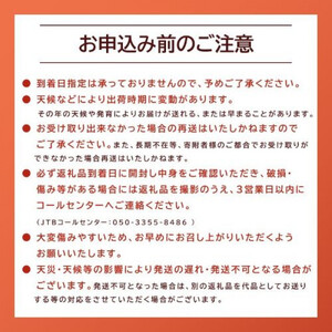 1251.【先行予約】【ＪＡ】小玉西瓜　秀2L×4玉　※着日指定不可　※離島への配送不可　※2026年9月初旬頃～9月下旬頃に順次発送予定