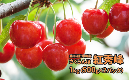 [先行受付] 北海道 仁木町産 生産者厳選品 さくらんぼ 紅秀峰 1kg（500g×2パック） 果物 チェリーサクランボ 旬のフルーツ デザート フルーツ  [JA新おたる] 