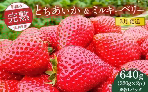 【先行予約】【3月発送】朝摘み！完熟とちあいか＆ミルキーベリーの紅白セット 640g（320g×2p(各1パック) ）　※離島への配送不可　※2026年3月上旬～3月下旬頃に順次発送予定