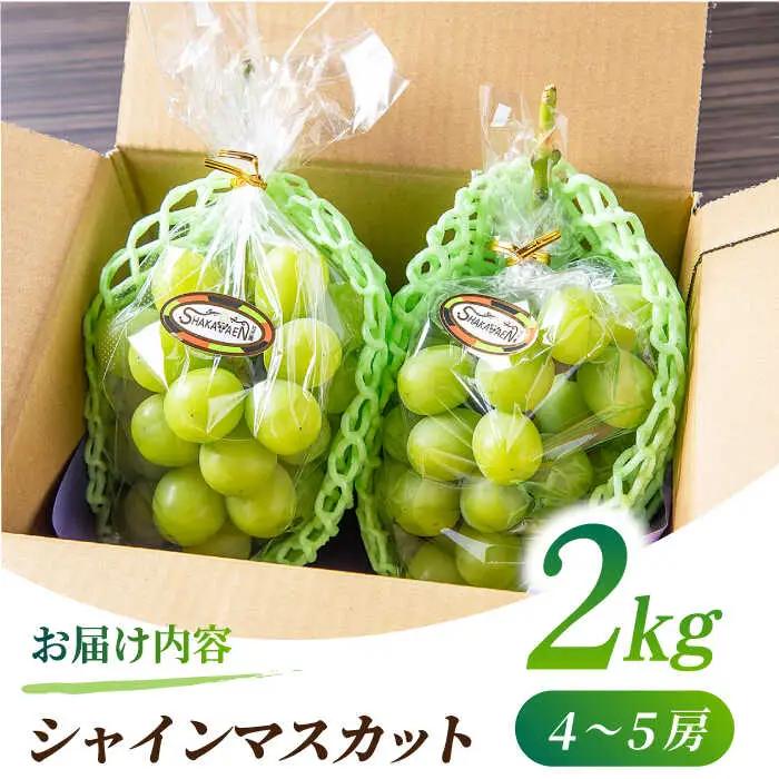 【2026年発送先行予約】 シャインマスカット 2kg(4～5房)【合同会社 社方園】ぶどう 大粒  熊本 期間限定  マスカット [ZBZ013]