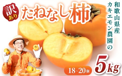 【訳あり・ご家庭用】たねなし柿 約5kg(箱込) 20個前後 カキエモン農園【2025年9月下旬～10月末頃順次発送】/ 柿 たねなし カキ 訳あり ご家庭用 5kg 和歌山県 かつらぎ町 産地直送 農家直送