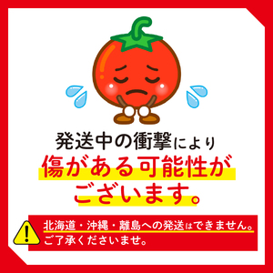 ミニトマト 1kg × 3回発送 【ミニトマト】 山本農園