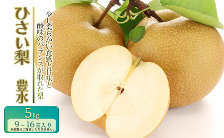 【先行予約】ひさい梨 豊水 5kg【果樹 秀専】 [ 梨 ナシ 果物 フルーツ 産地直送 ] 