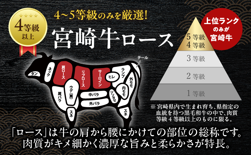 宮崎牛サーロインステーキ(計400g) 肉 牛 牛肉 国産_T050-0011