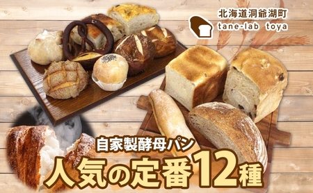 パン詰合せ 自家製酵母 惣菜パン 菓子パン パン詰合せ【人気の定番Lサイズ】【冷凍】