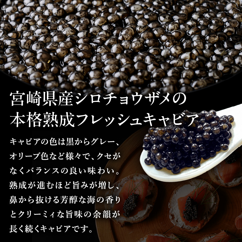 《宮崎市限定 宮崎キャビア1983》京都吉兆オリジナル 熟成うま味キャビア 12g 和キャビア 国産 キャビア 和風 和食 チョウザメ 化粧箱入り 化粧箱 贈答用 贈り物 ギフト 手土産 高級 世界三
