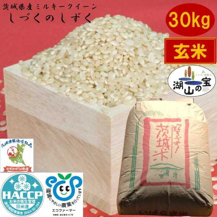 【ふるさと納税】 令和7年度産 ミルキークイーン しづくのしずく 30kg 農家直送 低温保存玄米 茨城県産 茨城県共通返礼品 かすみがうら市産 米 お米 玄米 こめ 取り寄せ 特産 ごはん ご飯 コメ お取り寄せ ギフト 贈り物 弁当 おにぎり ふっくら ツヤツヤ 甘い 産地直送 国産
