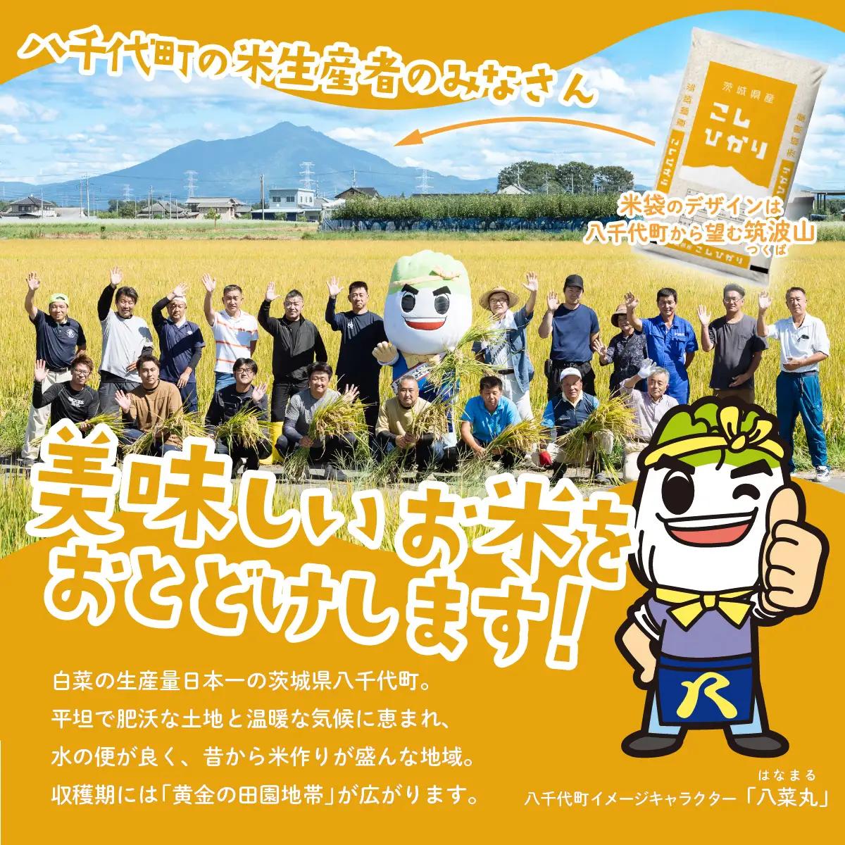 【令和7年産】コシヒカリ 5kg スピード発送 精米 5kg x 1袋 白米 茨城県 八千代町