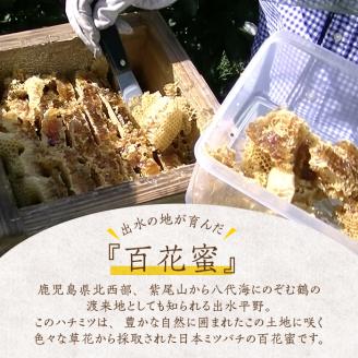 i631 《先行予約受付中！2025年10月上旬～2026年1月下旬の間に発送予定》＜数量・期間限定＞手作りミツロウラップ付き！日本ミツバチ・百花たれ蜜(400g) はちみつ 蜂蜜 ハチミツ ミツロウ