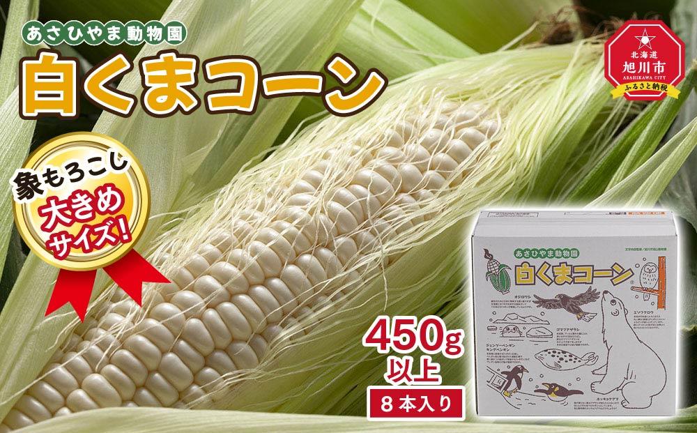 【26年発送先行予約】象もろこし（白くまコーン）大きいサイズのトウモロコシ 450g以上 8本入り (2026年8月下旬から発送開始予定) 【 とうもろこし 人気 北海道 糖度 野菜 白いとうもろこし 白いスイートコーン 産地直送 ホワイトレディ コーン 玉蜀黍 旬 お取り寄せ 旭川市 北海道 】_01413