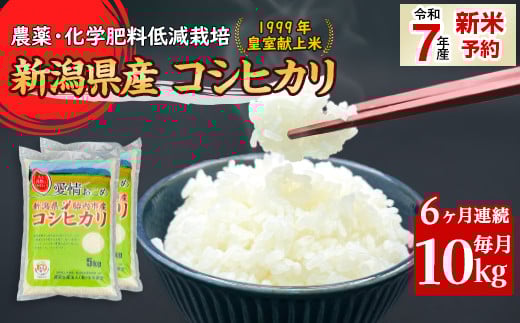 16-K106【6ヶ月連続お届け】新潟県胎内市産コシヒカリ10kg（5kg×2袋）