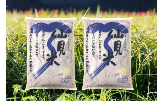 【先行予約】令和6年産 特別栽培米コシヒカリ 「仙見米」10kg 新潟県 五泉市 （有）川内ライスプラント