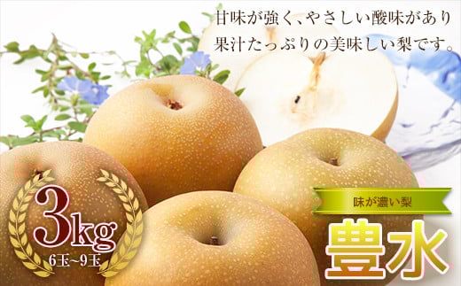《2025年秋出荷》味が濃い梨 豊水3kg （6～9玉） F23R-632