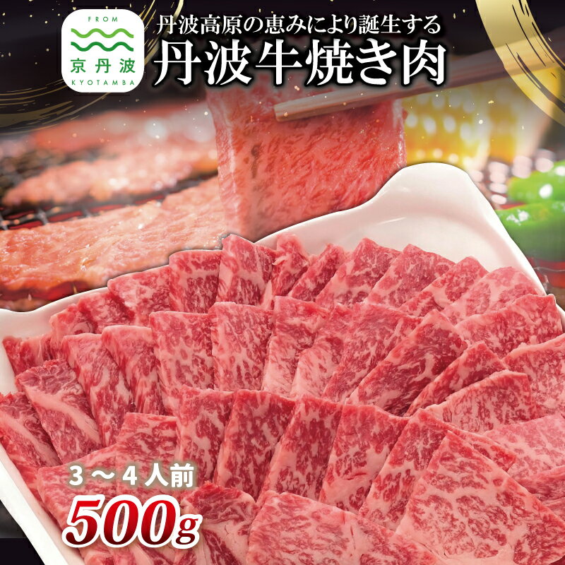 【ふるさと納税】 丹波高原の恵みによって誕生する丹波牛 焼肉用 3〜4人前 黒毛和牛 和牛 京都 丹波 牛肉