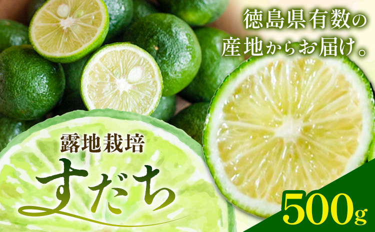 \生産量日本一徳島県/ 露地栽培 すだち約500g 露地すだち スダチ 一般財団法人さなごうち《8月下旬-11月上旬頃出荷》徳島県 佐那河内村 スダチ 露地 魚 豆腐 冷奴 焼き魚 天ぷら 刺身 上質 徳島県産(F)