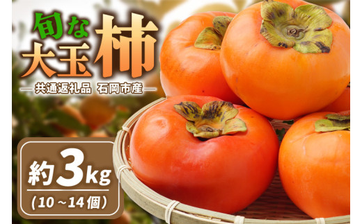 旬な大玉柿　約3kg(10～14個)県内共通返礼品石岡市産 (BR176)
