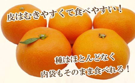 【愛媛みかん】 5kg みかん