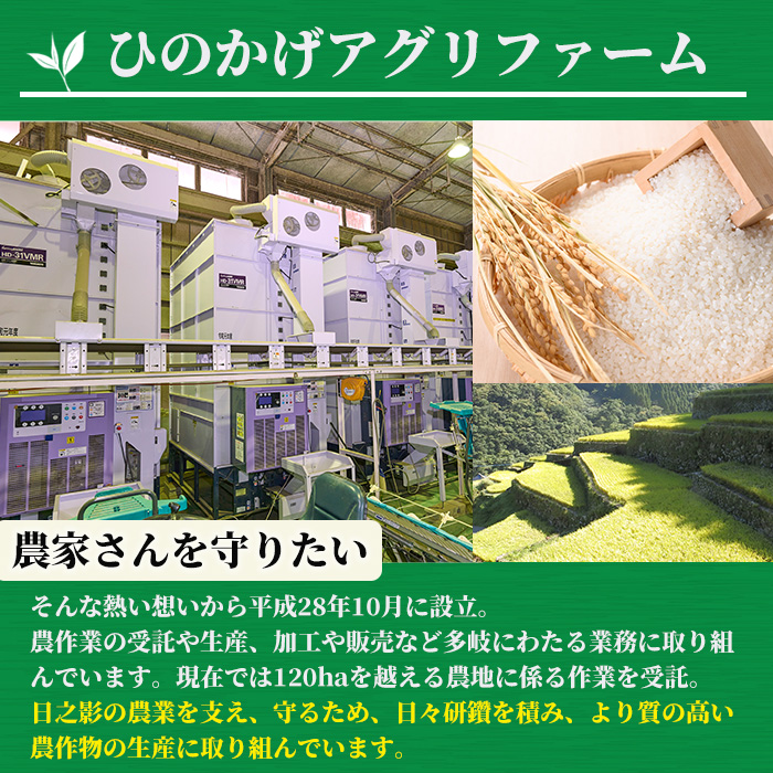 ＜数量限定＞令和6年産宮崎県日之影町産ヒノヒカリ(5kg×1袋)  米 精米 国産 ごはん 白米 【AF002】【株式会社ひのかげアグリファーム】