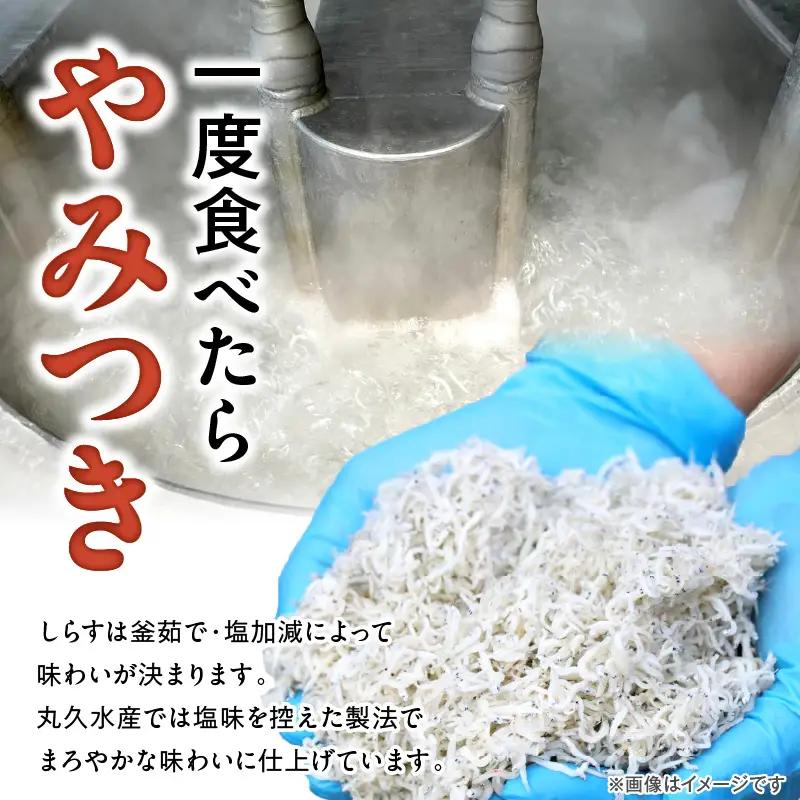訳あり 3kg！バラエティ豊富な三河しらす H018-069