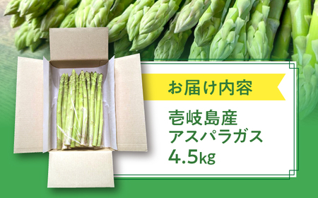 【アスパラガス専門農家が作る！】壱岐産アスパラガス4.5kg≪壱岐市≫【きたじま農園】 国産 冷蔵配送 産地直送 朝採れ 新鮮[JGI001]