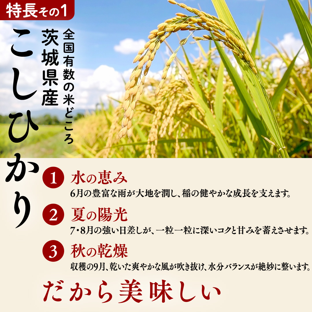 数量限定！【 金芽米 】 ＜7月下期出荷＞ つくばみらい市産 コシヒカリ 5kg × 2袋 ( 計 10kg ) 金芽米 きんめまい 米 お米 無洗米 茨城県 カロリーオフ 低カロリー 東洋ライス 節